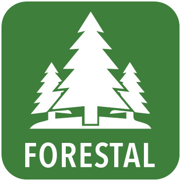 1-Forestal